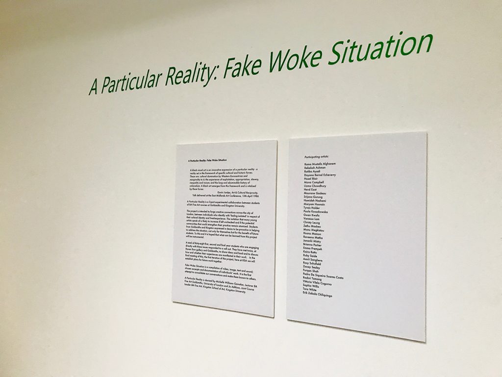 A Particular Reality: Fake Woke Situation text on a gallery wall
